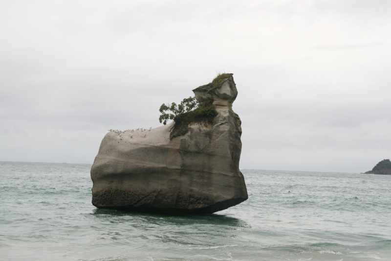 Nieuw-Zeeland 2011 - 0454